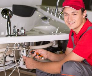 About Emergency plumbing pros Benton Harbor, MI